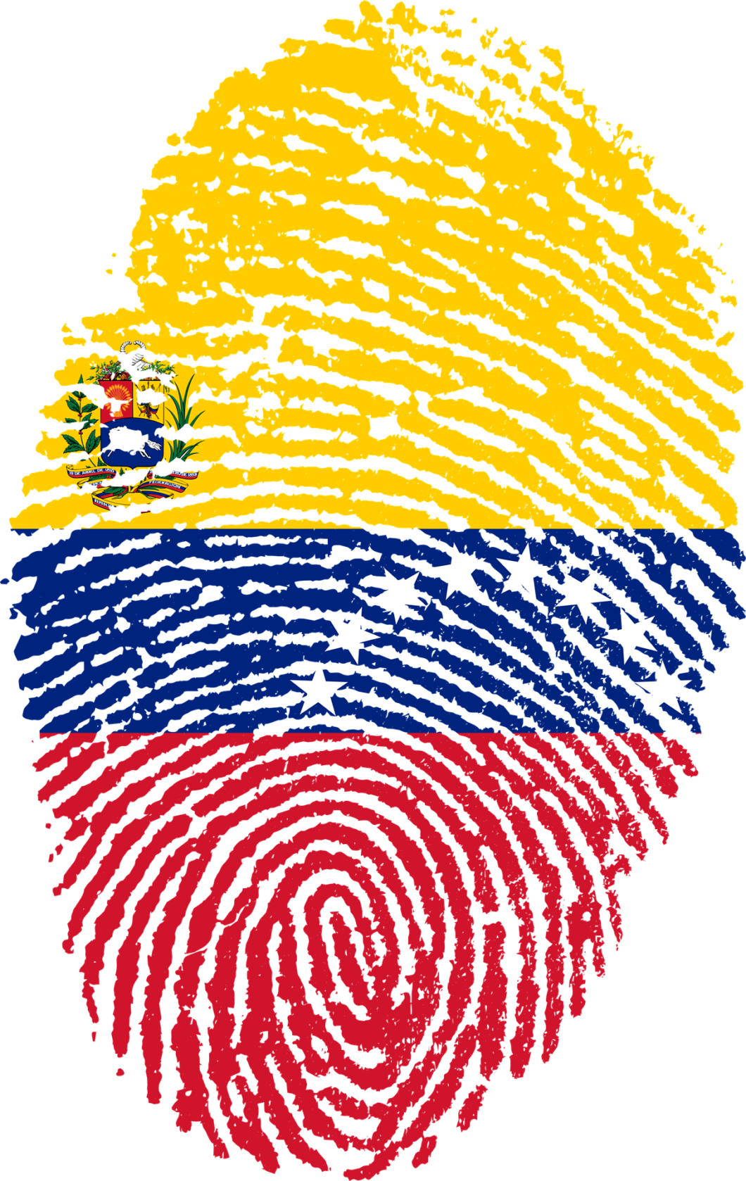 Migración