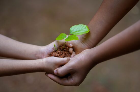 Prosperidad y abundancia